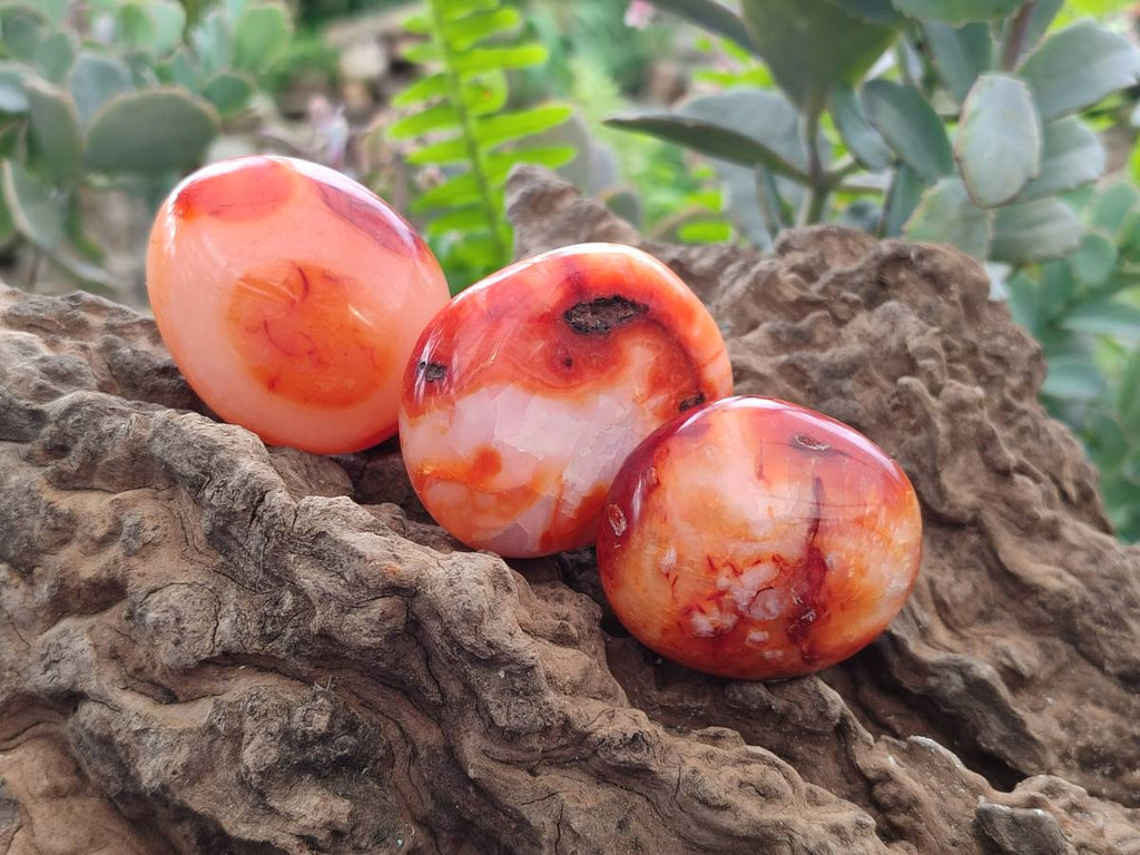 Polished Carnelian Agate Gemstone Galets x 20 From Madagascar - Toprock Gemstones and Minerals 