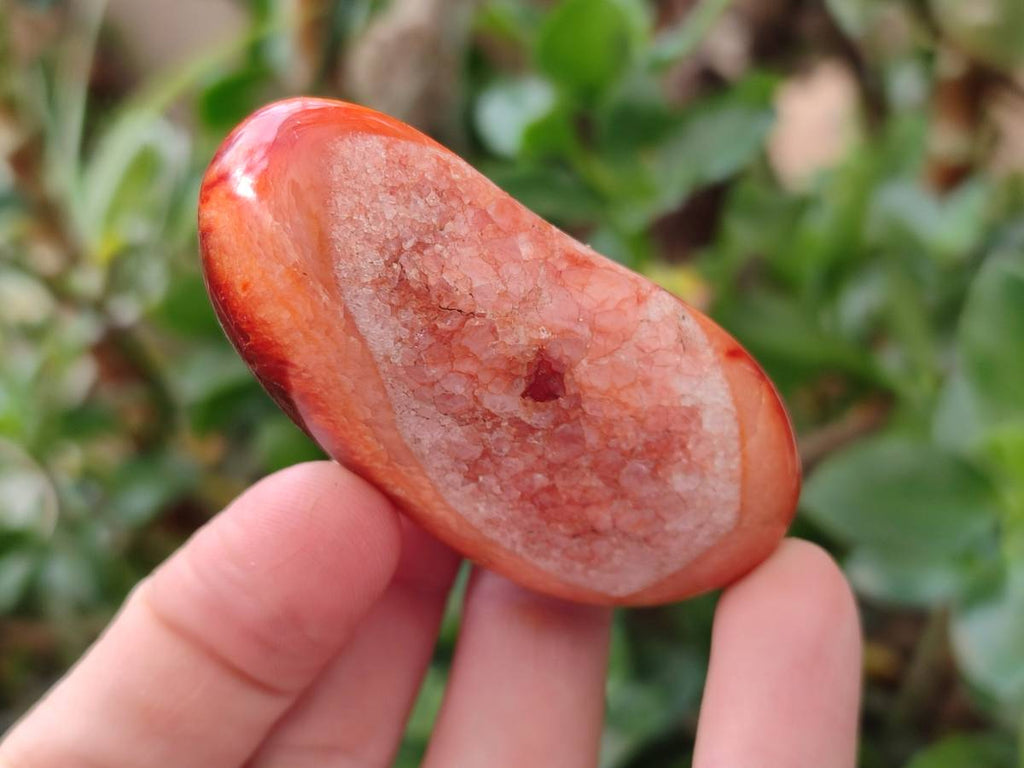 Polished Carnelian Agate Gemstone Galets x 20 From Madagascar - Toprock Gemstones and Minerals 