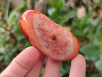 Polished Carnelian Agate Gemstone Galets x 20 From Madagascar