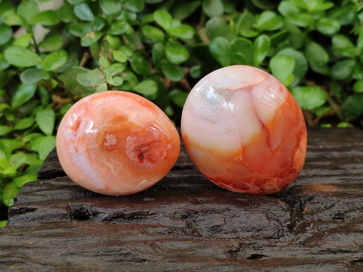 Polished Carnelian Agate Gemstone Galets x 20 From Madagascar - Toprock Gemstones and Minerals 
