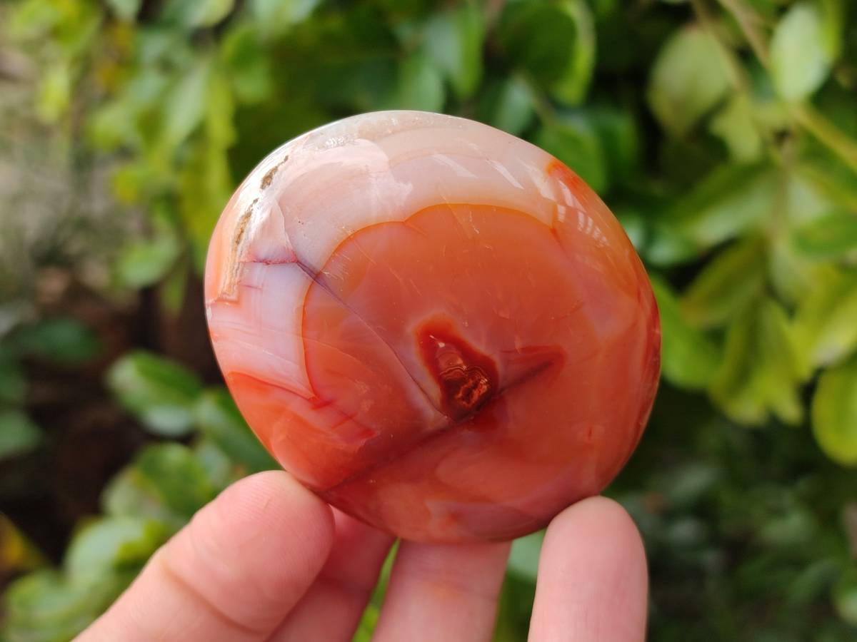 Polished Carnelian Agate Gemstone Galets x 20 From Madagascar - Toprock Gemstones and Minerals 