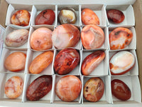 Polished Carnelian Agate Gemstone Galets x 20 From Madagascar