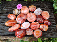 Polished Carnelian Agate Gemstone Galets x 20 From Madagascar