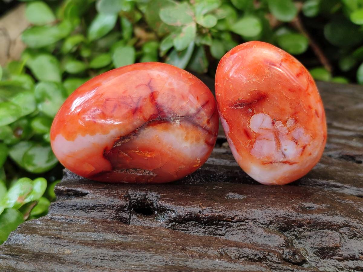 Polished Carnelian Agate Gemstone Galets x 20 From Madagascar - Toprock Gemstones and Minerals 