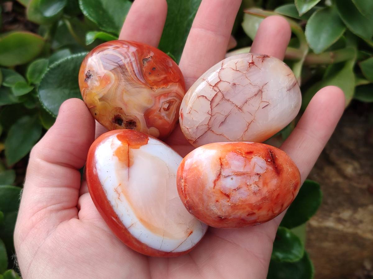 Polished Carnelian Agate Gemstone Galets x 20 From Madagascar - Toprock Gemstones and Minerals 