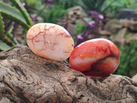 Polished Carnelian Agate Gemstone Galets x 20 From Madagascar