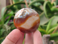 Polished Carnelian Agate Gemstone Galets x 20 From Madagascar