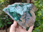 Natural Drusy Coated Chrysocolla And Malachite Specimens x 4 From Lupoto, Congo - Toprock Gemstones and Minerals 