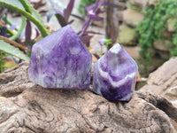 Polished Chevron Amethyst Crystals x 6 From Zambia