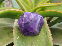 Polished Chevron Amethyst Crystals x 6 From Zambia