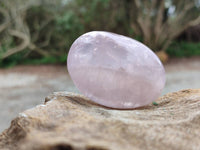Polished Rose Quartz Palm Stones x 20 From Madagascar