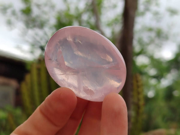 Polished Rose Quartz Palm Stones x 20 From Madagascar