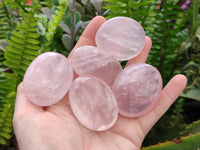 Polished Rose Quartz Palm Stones x 20 From Madagascar