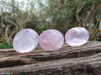 Polished Rose Quartz Palm Stones x 20 From Madagascar