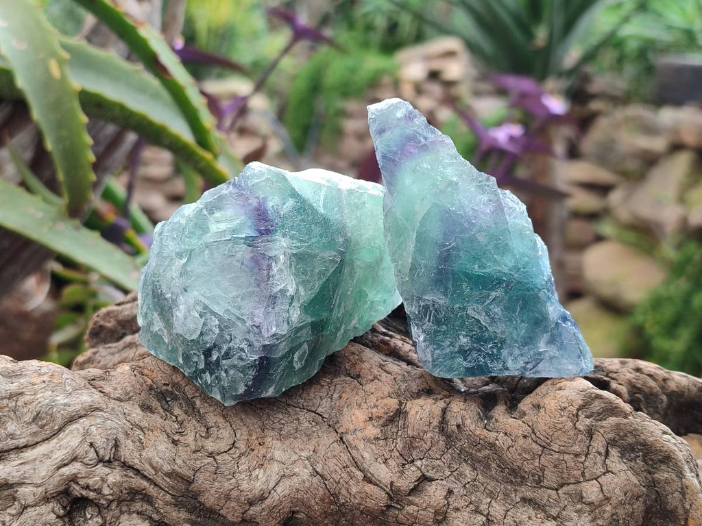 Natural Watermelon Fluorite Cobbed Specimens x 24 From Uis, Namibia - Toprock Gemstones and Minerals 