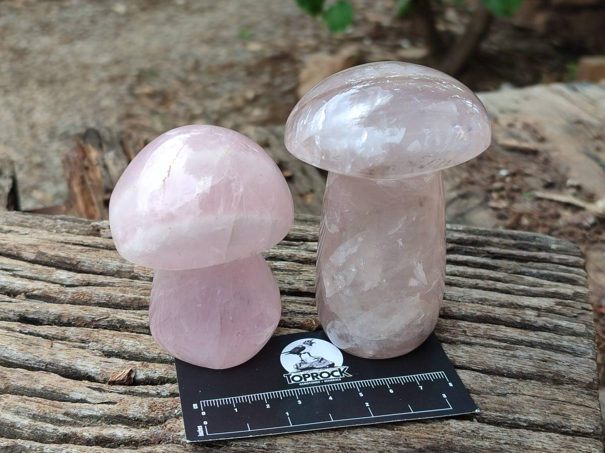 Polished Rose Quartz Mushrooms x 6 From Madagascar - Toprock Gemstones and Minerals 