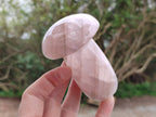 Polished Rose Quartz Mushrooms x 6 From Madagascar - Toprock Gemstones and Minerals 