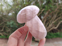 Polished Rose Quartz Mushrooms x 6 From Madagascar