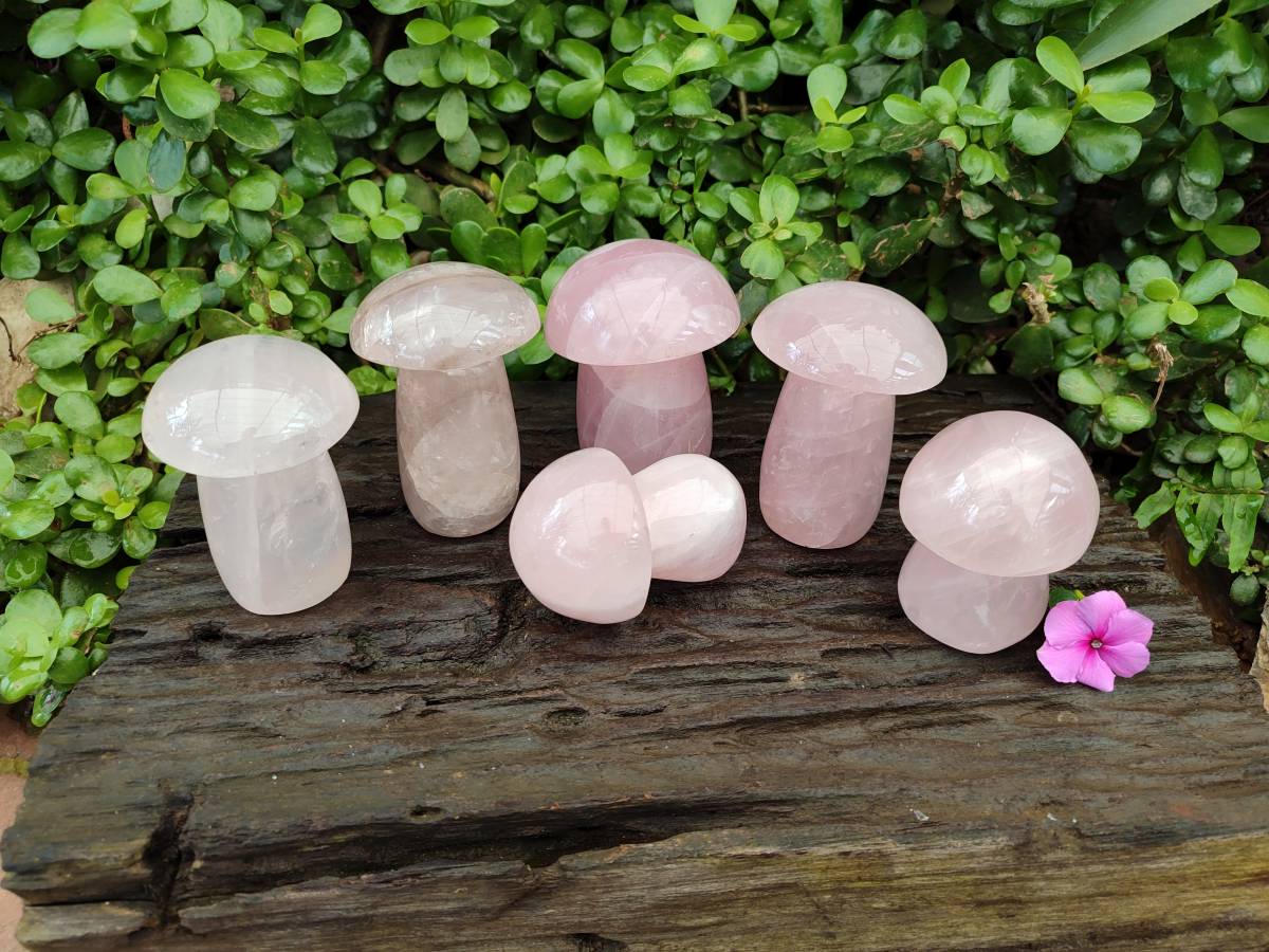 Polished Rose Quartz Mushrooms x 6 From Madagascar - Toprock Gemstones and Minerals 