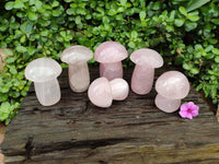 Polished Rose Quartz Mushrooms x 6 From Madagascar