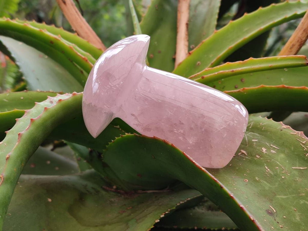 Polished Rose Quartz Mushrooms x 6 From Madagascar - Toprock Gemstones and Minerals 