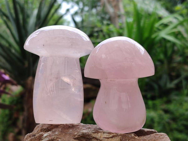 Polished Rose Quartz Mushrooms x 6 From Madagascar