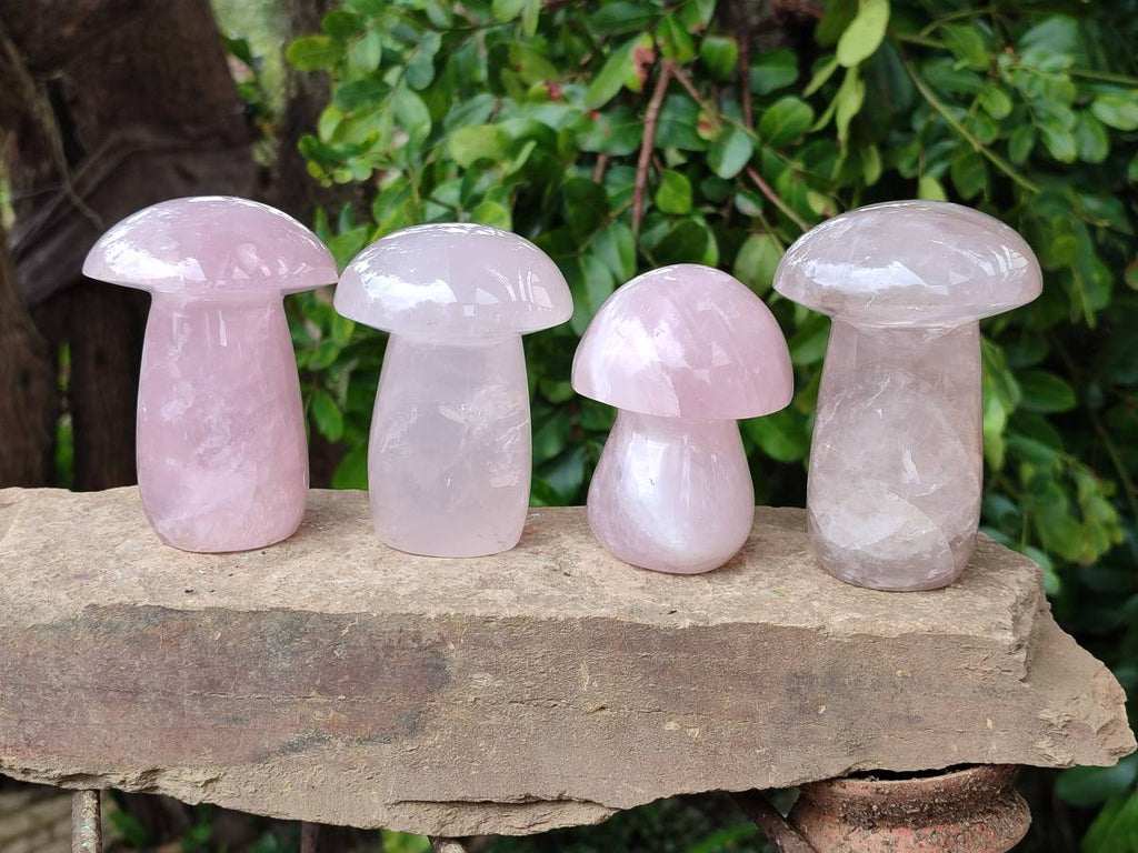 Polished Rose Quartz Mushrooms x 6 From Madagascar - Toprock Gemstones and Minerals 