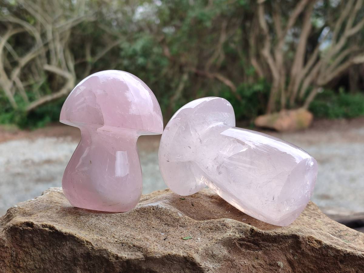Polished Rose Quartz Mushrooms x 6 From Madagascar - Toprock Gemstones and Minerals 