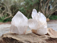 Natural Cascading Candle Quartz Crystals x 12 From Antsirabe, Madagascar