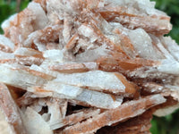 Natural Bladed Barite Specimens x 2 From Tenke Fungurume, Congo