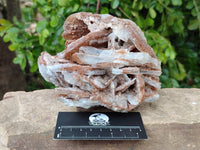 Natural Bladed Barite Specimens x 2 From Tenke Fungurume, Congo