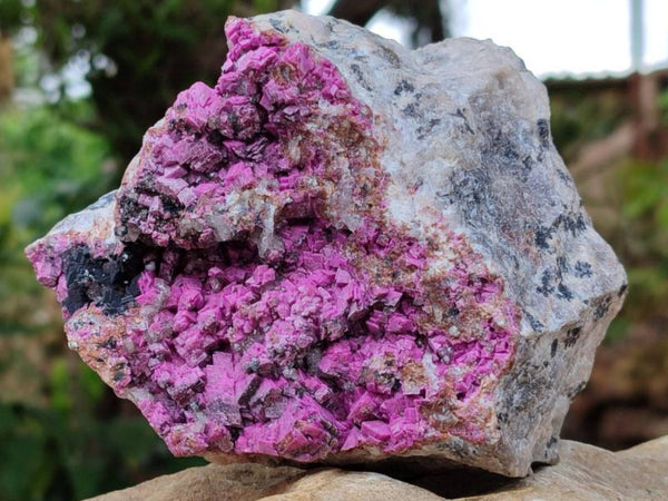 Natural Salrose Cobaltion Dolomite With Heterogenite Specimen x 1 From Kakanda, Congo x 1 From Kakanda, Congo