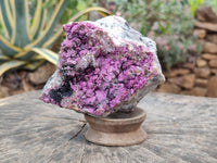 Natural Salrose Cobaltion Dolomite With Heterogenite Specimen x 1 From Kakanda, Congo x 1 From Kakanda, Congo