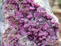 Natural Salrose Cobaltion Dolomite With Heterogenite Specimen x 1 From Kakanda, Congo x 1 From Kakanda, Congo