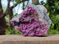 Natural Salrose Cobaltion Dolomite With Heterogenite Specimen x 1 From Kakanda, Congo x 1 From Kakanda, Congo