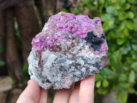 Natural Salrose Cobaltion Dolomite With Heterogenite Specimen x 1 From Kakanda, Congo x 1 From Kakanda, Congo