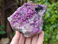 Natural Salrose Cobaltion Dolomite With Heterogenite Specimen x 1 From Kakanda, Congo x 1 From Kakanda, Congo