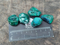 Polished Dioptase Free Forms x 35 From Likasi, Congo