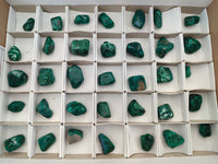Polished Dioptase Free Forms x 35 From Likasi, Congo