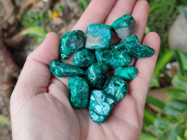 Polished Dioptase Free Forms x 35 From Likasi, Congo