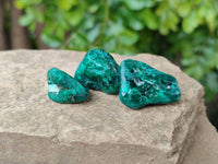 Polished Dioptase Free Forms x 35 From Likasi, Congo