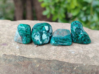 Polished Dioptase Free Forms x 35 From Likasi, Congo
