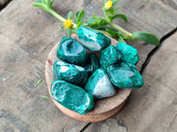 Polished Dioptase Free Forms x 35 From Likasi, Congo