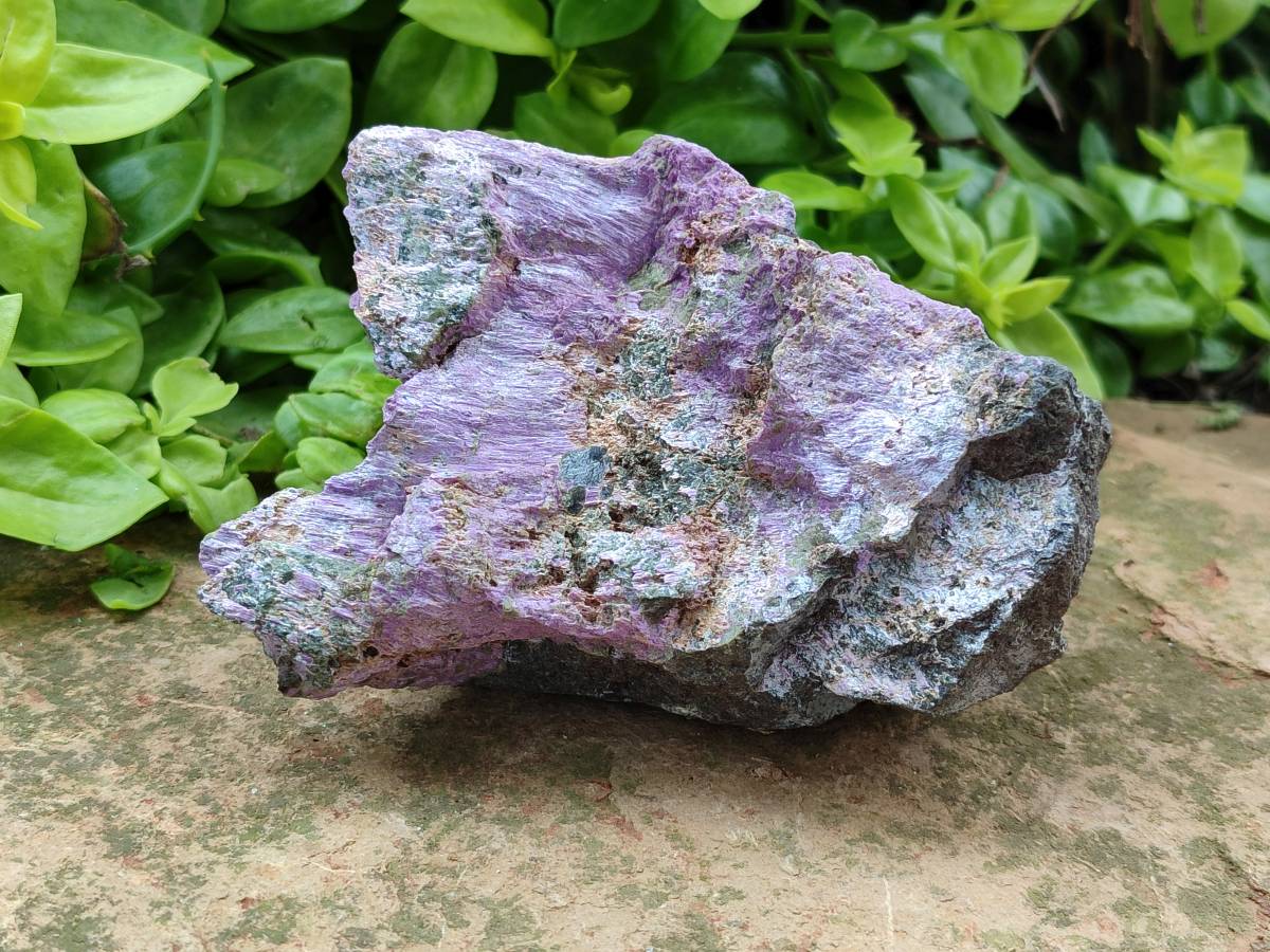 Natural Large Stichtite Cobbed Specimens x 4 From Barberton, South Africa - Toprock Gemstones and Minerals 