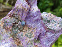 Natural Large Stichtite Cobbed Specimens x 4 From Barberton, South Africa