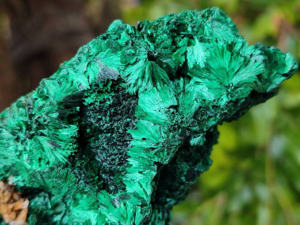 Natural Silky Malachite Specimens x 3 From Kasompe, Congo - Toprock Gemstones and Minerals 