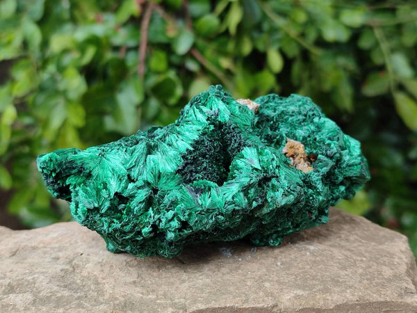 Natural Silky Malachite Specimens x 3 From Kasompe, Congo