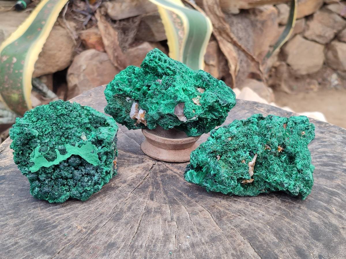 Natural Silky Malachite Specimens x 3 From Kasompe, Congo - Toprock Gemstones and Minerals 