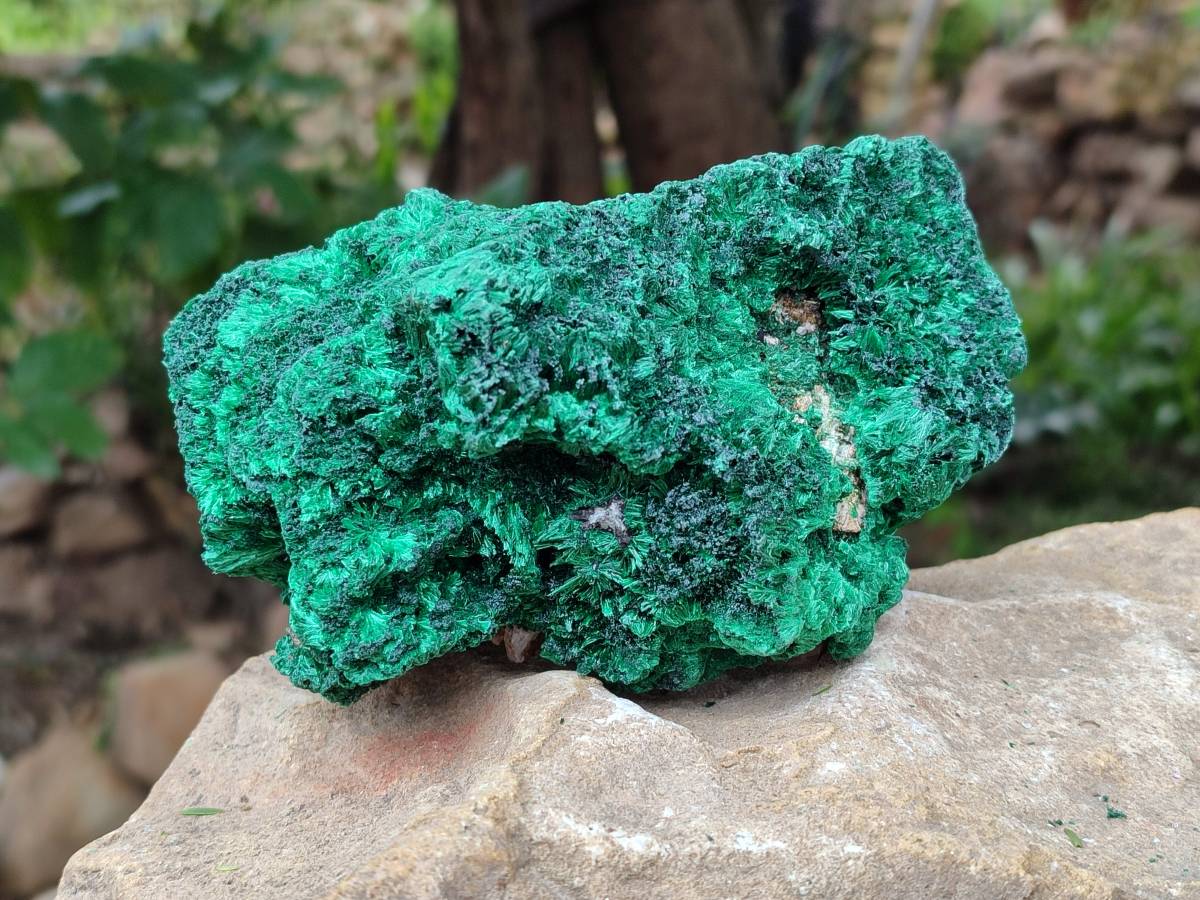 Natural Silky Malachite Specimens x 3 From Kasompe, Congo - Toprock Gemstones and Minerals 