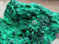 Natural Silky Malachite Specimens x 3 From Kasompe, Congo